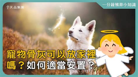 寵物骨灰放在家|寵物骨灰可以放家裡嗎？專家揭露家中安葬寵物骨灰的。